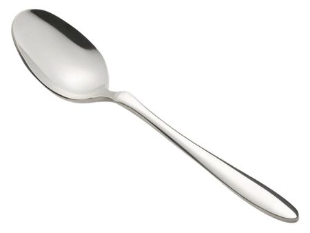 Asahi Bonheur Stainless Steel Coffee Spoon Cheap