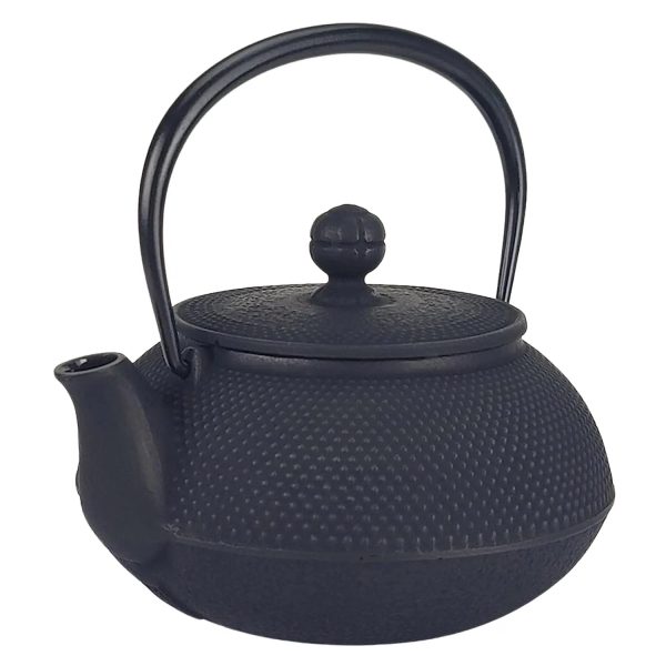 Iwachu Nambu Cast Iron Tetsukyusu Teapot Arare with Tea Strainer Cheap