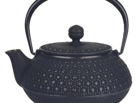 Iwachu Nambu Cast Iron Tetsukyusu Teapot Kikko Online Sale