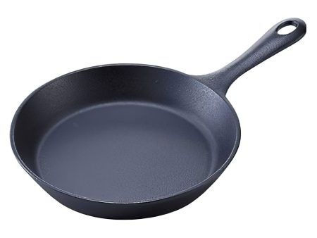 Iwachu Nambu Cast Iron Mini Frying Pan Supply